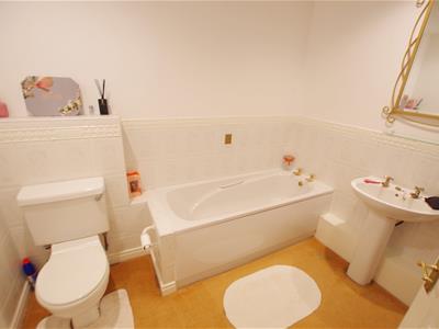 Picture 15